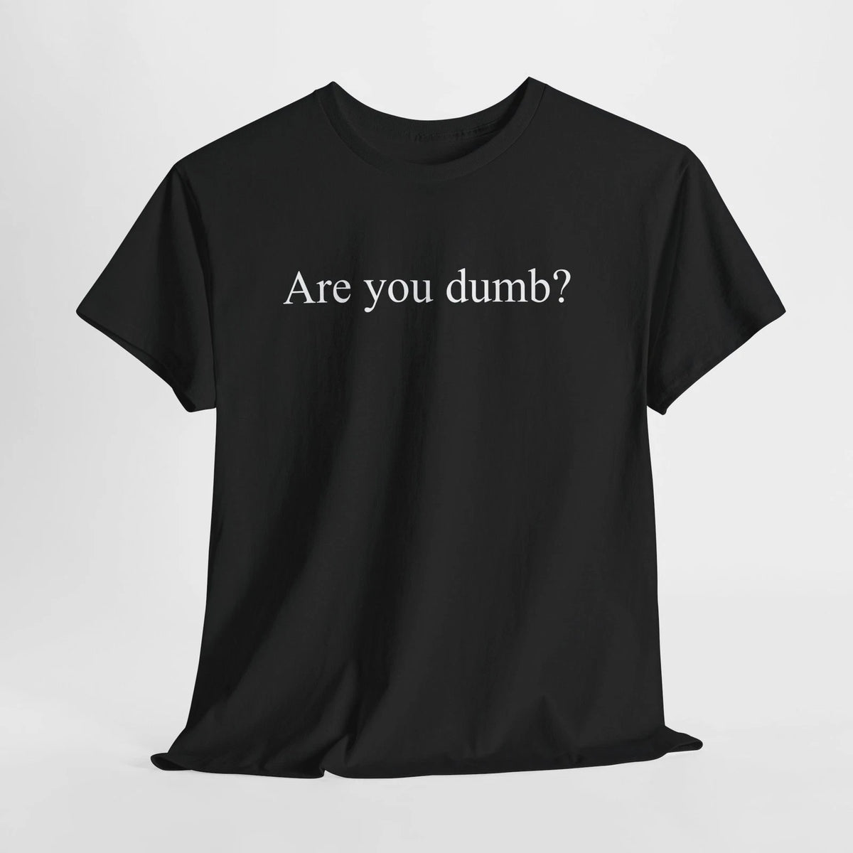 Are You Dumb? Tee Funny Minimal Text Sarcastic Offensive Quote Graphic T-Shirt