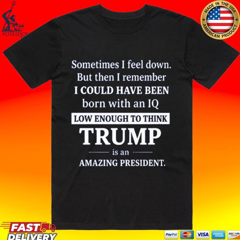 Sometimes I Feel Down But Then I Remember IQ Low Trump T-shirt