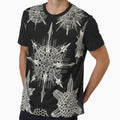 Acanthophracta - Ernst Haeckel by billythekidtees