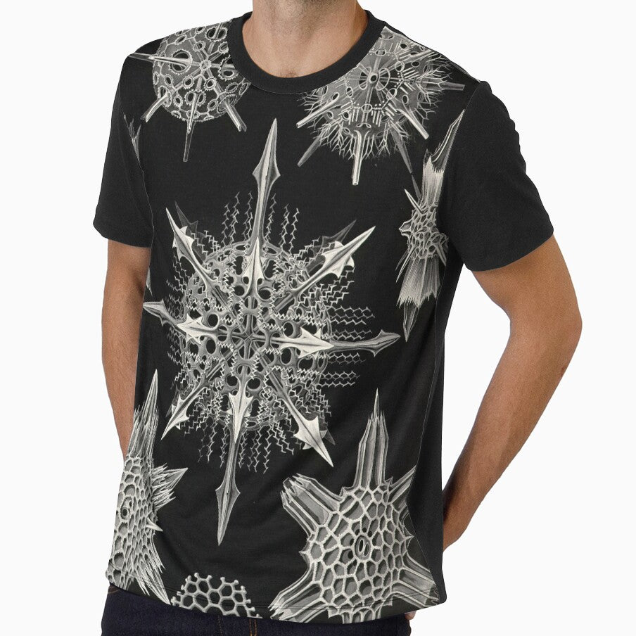 Acanthophracta - Ernst Haeckel by billythekidtees