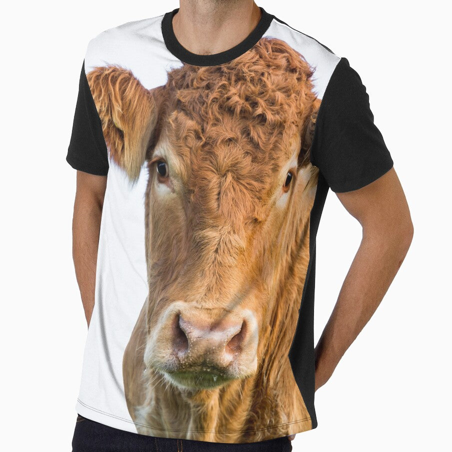 Limousin Cow II by Jane Stanley Photography