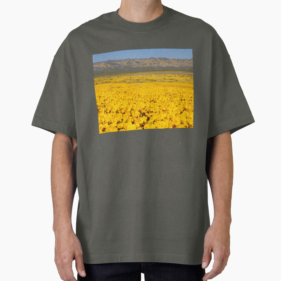 Superbloom - Golden Fields of the Carrizo Plain by MH65Designs