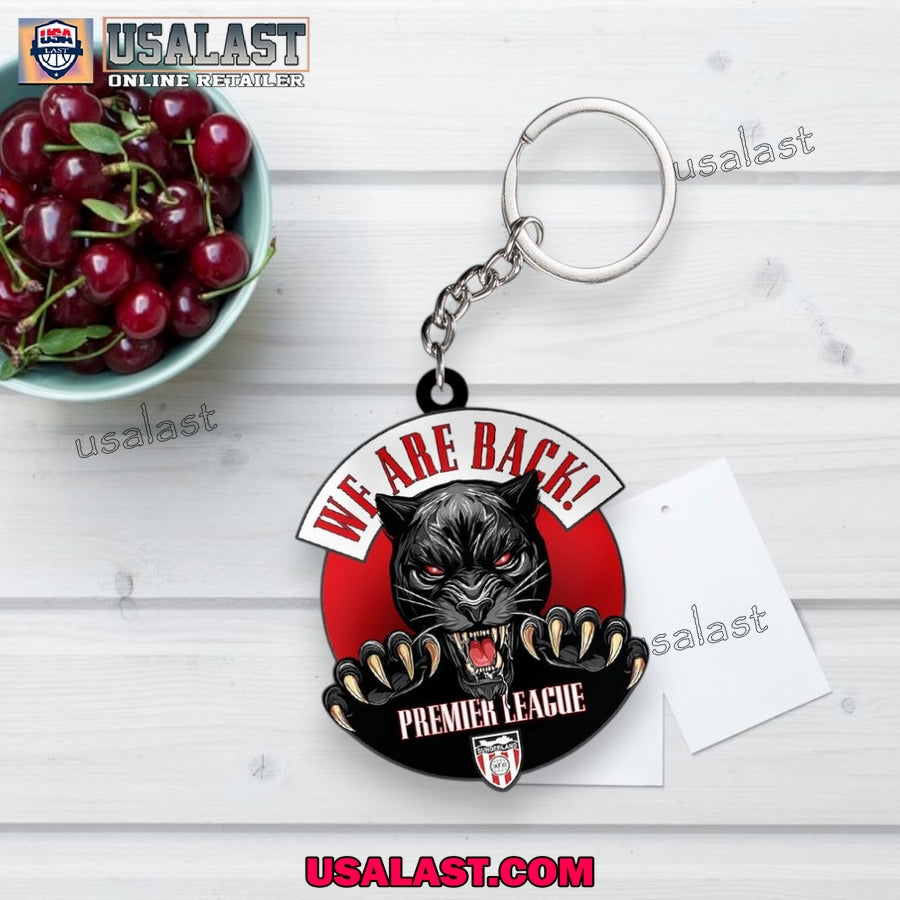 Sunderland AFC We Are Back EPL Car Ornament, Keychain