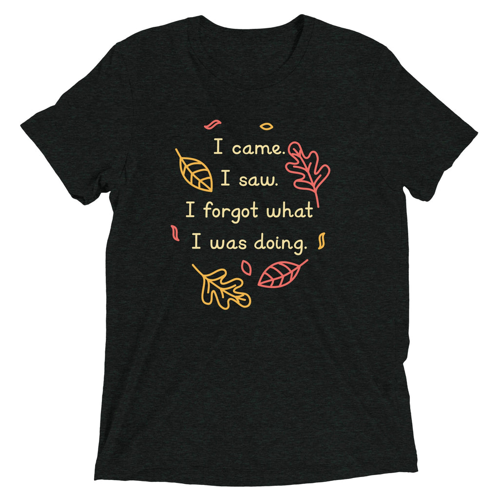 I Came. I Saw. I Forgot What I Was Doing. Men's Tri-Blend Tee
