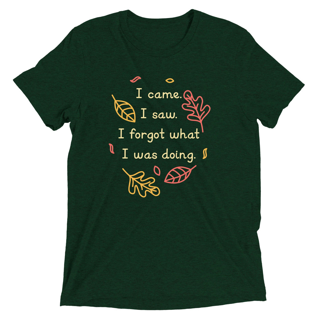 I Came. I Saw. I Forgot What I Was Doing. Men's Tri-Blend Tee