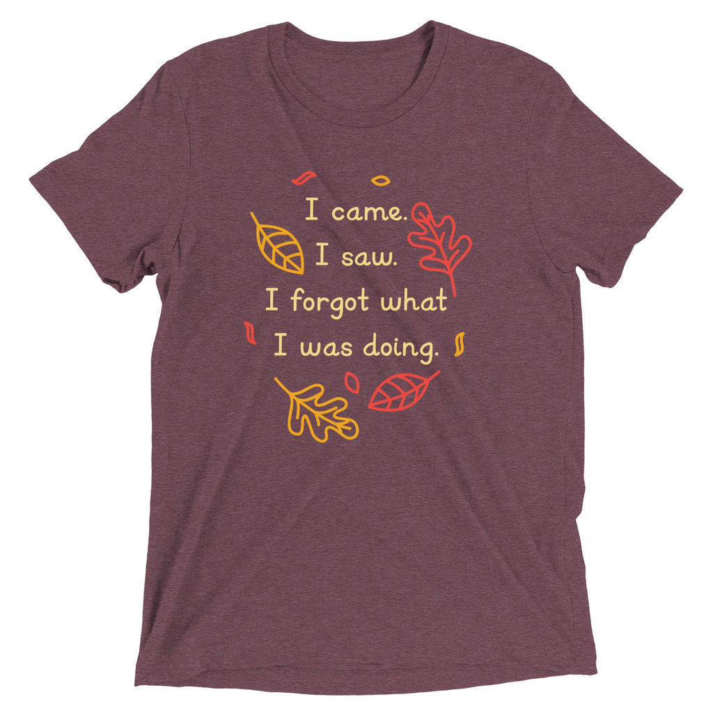 I Came. I Saw. I Forgot What I Was Doing. Men's Tri-Blend Tee