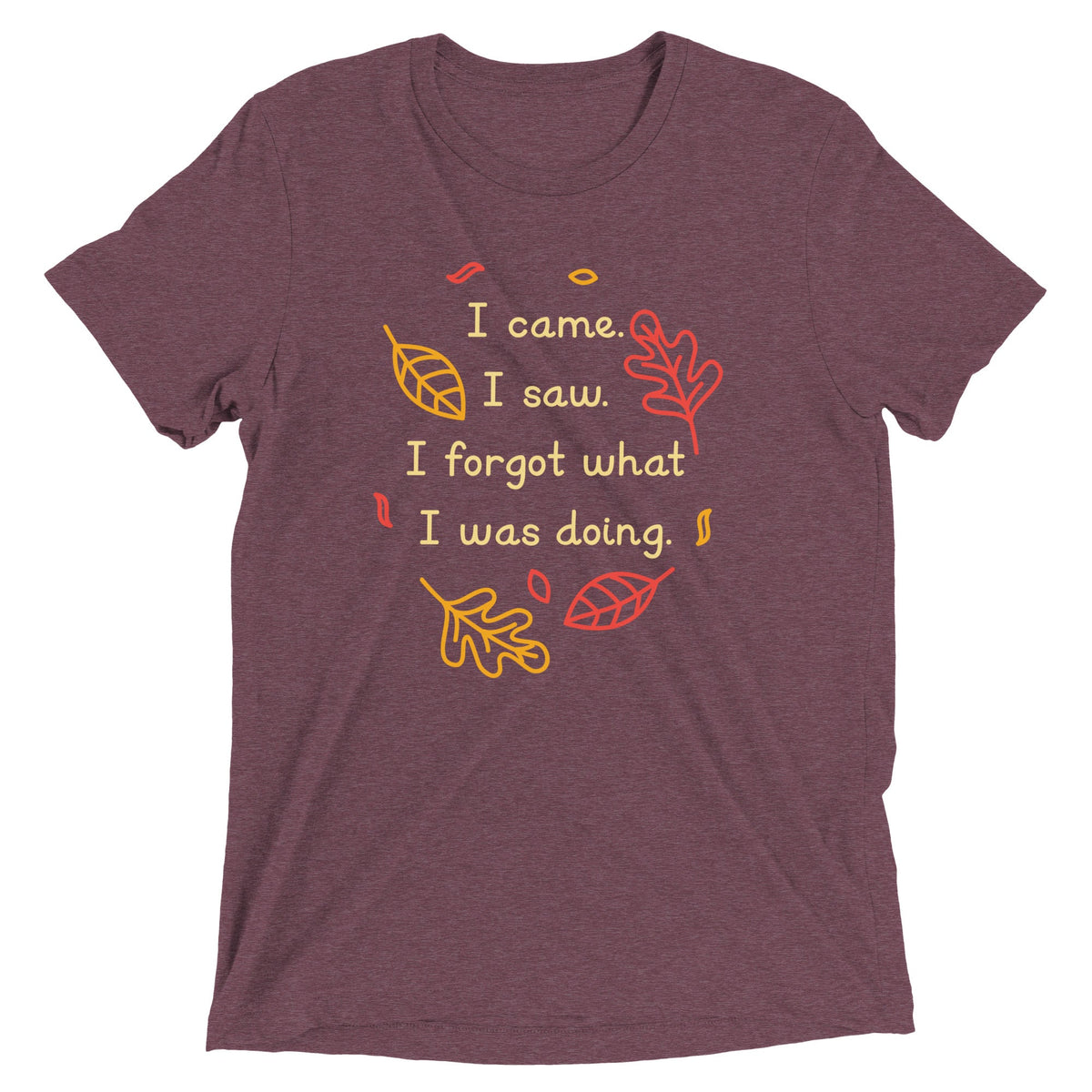I Came. I Saw. I Forgot What I Was Doing. Men's Tri-Blend Tee