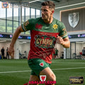 Wales National Football Premium Printed T-Shirt