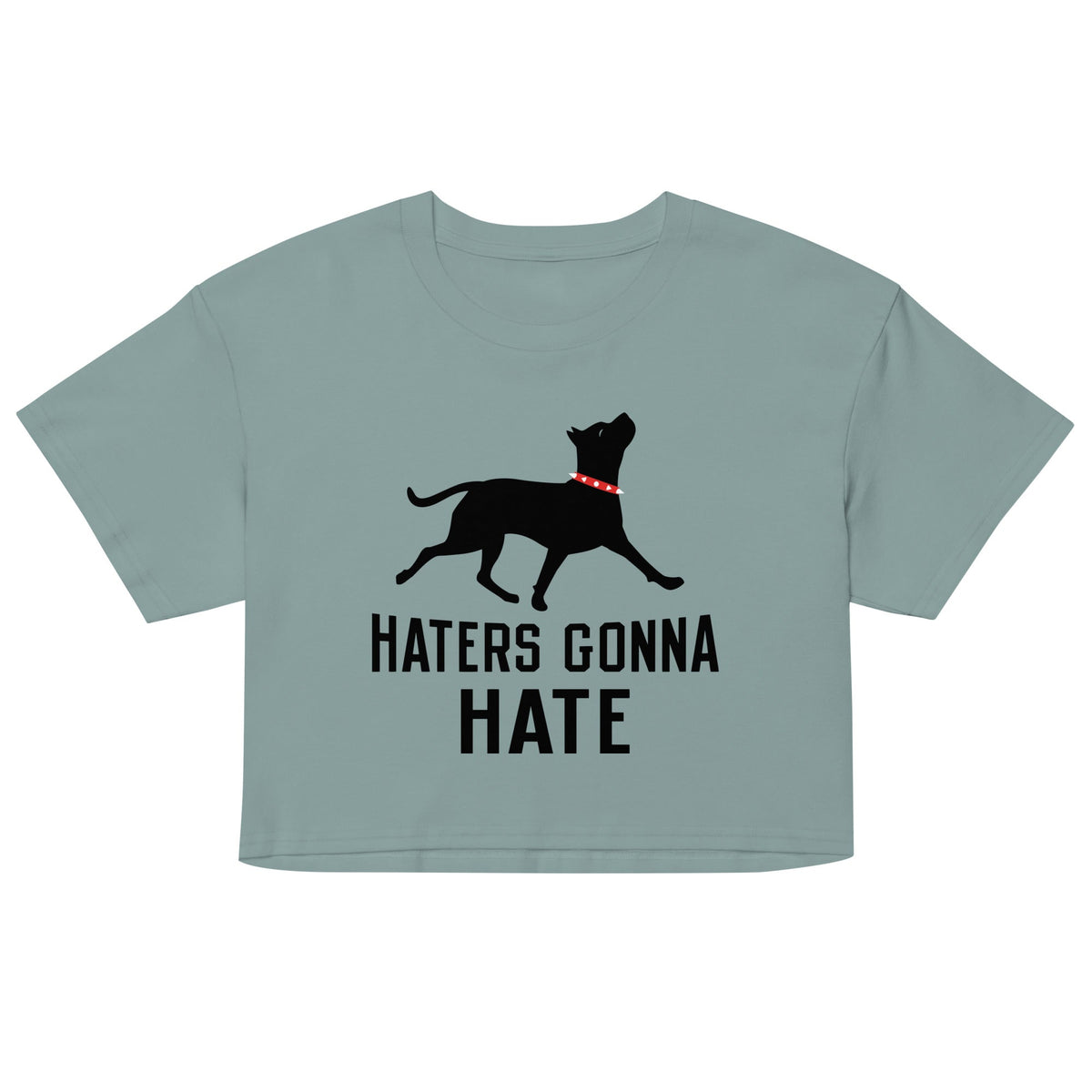 Haters Gonna Hate Pit Women's Crop Tee