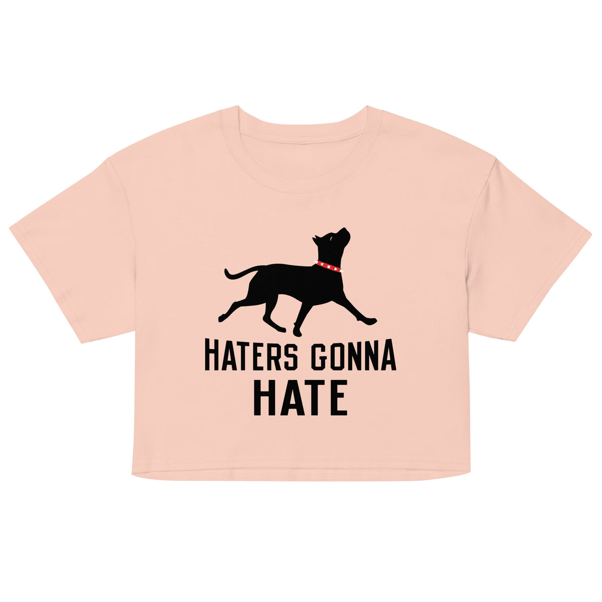 Haters Gonna Hate Pit Women's Crop Tee
